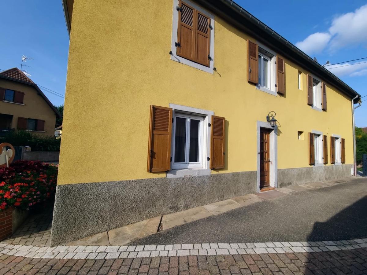 Appartement Cosy Bretzel à Gresswiller Extérieur photo